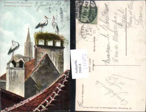 750802 Strassburg Strasbourg Alsace Elsass Störche Storch pub Felix Luib