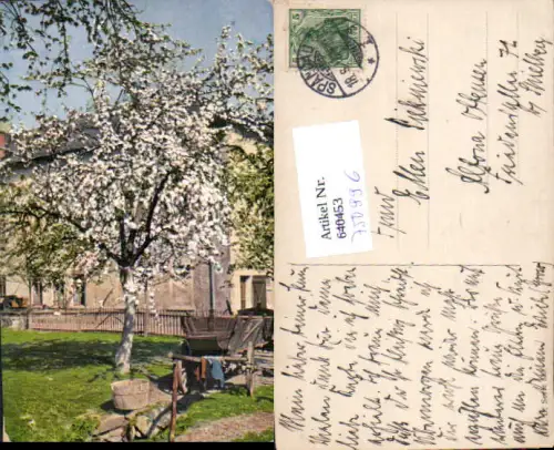 750996 Künstler AK Garten Baum Stp. Spandau n. Altona