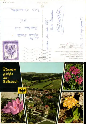 751102 Gallspach Blumen pub Alpine Luftbild