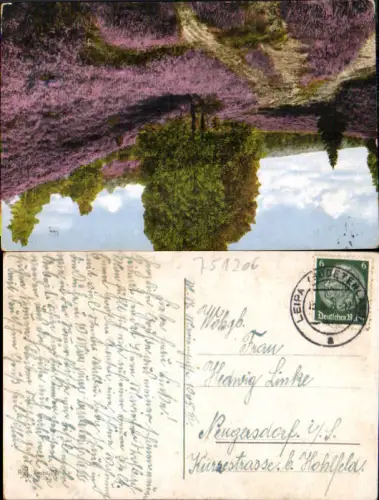 751206 Lüneburger Heide Leipa Sudetenland Neugersdorf Hohfeld