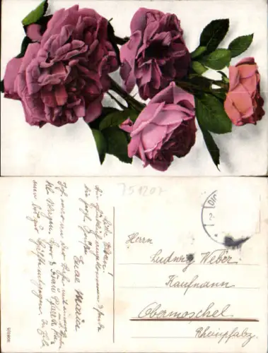 751207 Stempel Rosen Obermoschel