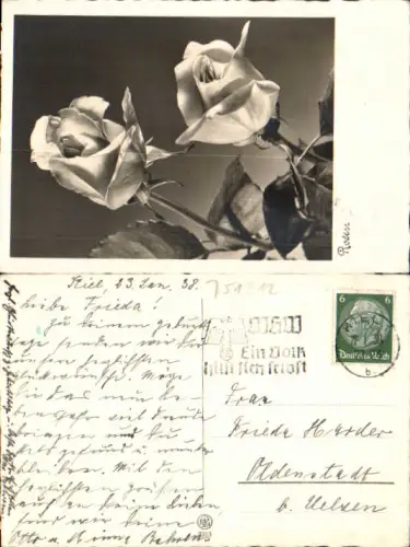 751212 Stempel Kiel n. Oldenstadt b. Uelzen Fotokunst Rosen Foto-AK