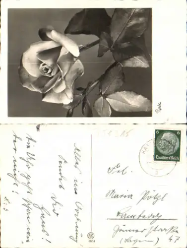751215 Stempel Hassel St. Ingbert n. Bamberg Fotokunst Rosen