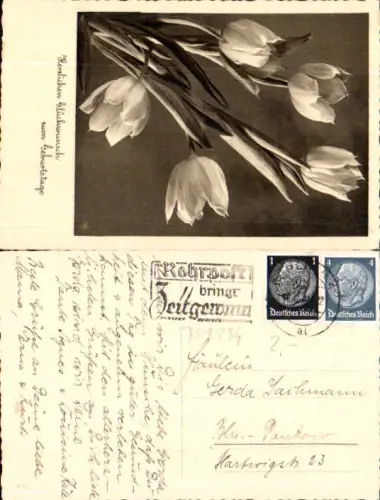 751234 Stempel Berlin n. Pankow