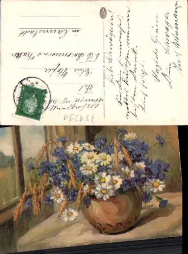 751291 Künstler AK A. Haller Blumen Gänseblümchen Stp. Miesbach Cannstatt