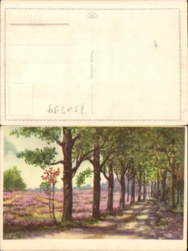 751299 Künstler AK Baum Allee Bäume Lüneburger Heide Lüneburg