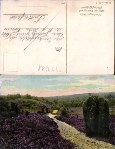 751428 Künstler AK Lüneburger Heide Totengrund gel Bitterfeld