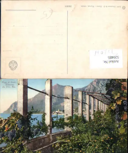 752078 Trentino Lago di Garda Gardasee Limone Villa Nua