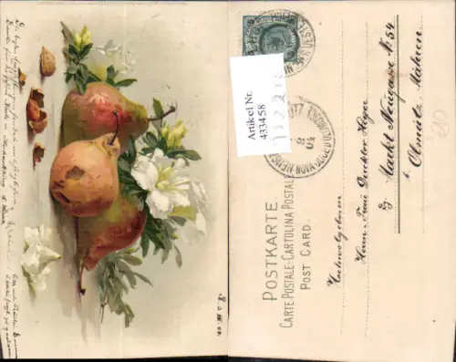 752272 Catharina Klein Birnen Blumen pub Meissner e Buch 1246 gel Olmütz