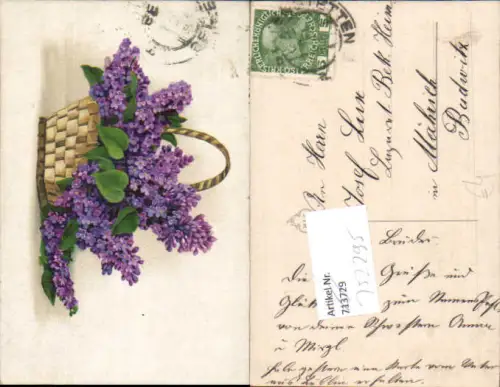 752295 Blumen Vergissmeinnicht Mährisch Budwitz
