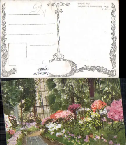 753200 Künstler AK Geo Gerlach Wien Hietzing Schönbrunn Palmenhaus