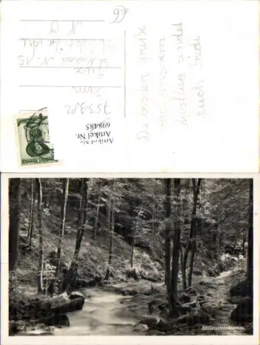 753382 Stillensteinklamm bei Grein St. Nikola Struden Bez. Perg Strudengau