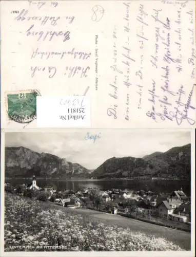 753402 Unterach am Attersee Wiese Blumen gel Eschlberg Rottenegg