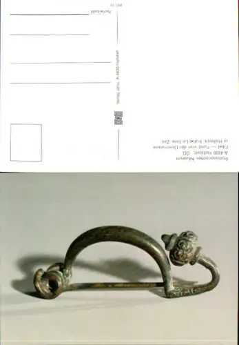 753929 Hallstatt Museum Fund Dammwiese Archäologie Fibel
