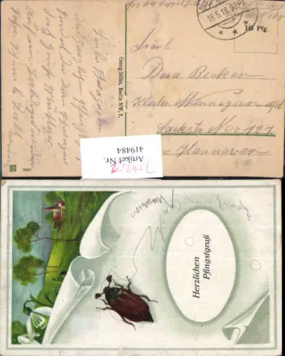 754252 Lithographie Maikäfer Pfingsten