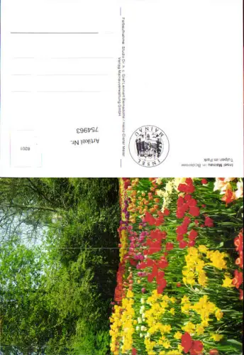 754963 Insel Mainau im Bodensee Tulpen im Park LK Konstanz