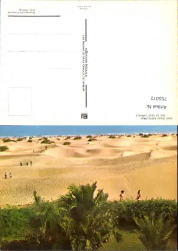 755072 Dunas Maspalomas Gran Canaria Spain