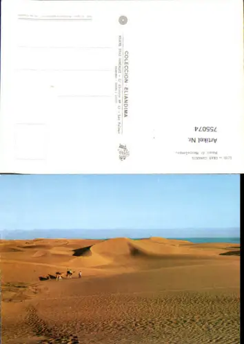 755074 Gran Canaria Dunas de Maspalomas Provincia de Las Palmas Spain