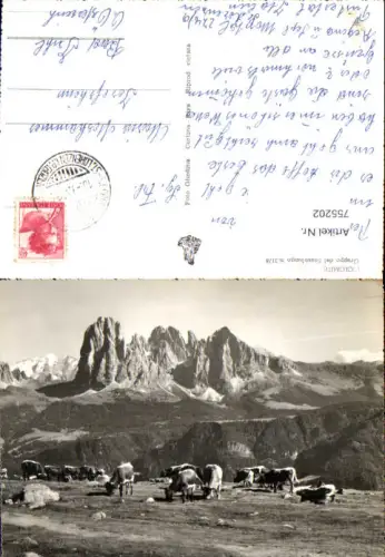 755202 Sexten Gröden Langkofelgruppe (Gruppo del Sassolungo) Bozen Italy