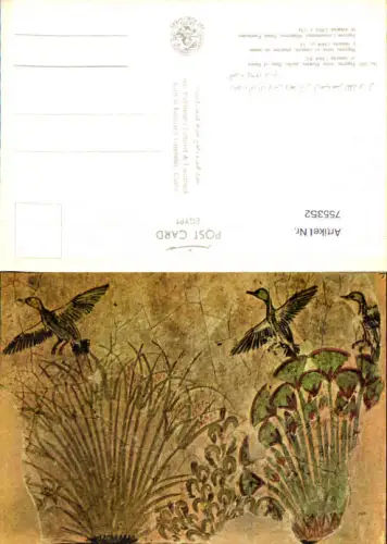 755352 Amarna Papyrus Enten Minya Governorate Egypt