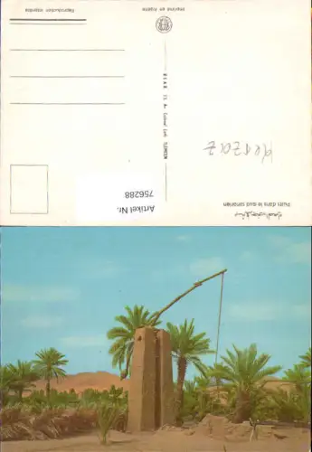 756288 Südsahara, Puits dans le sud saharien Algeria