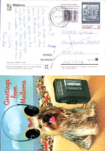 756442 Mallorca Illes Balears Spain Walkman Hund Kopfhörer 1997