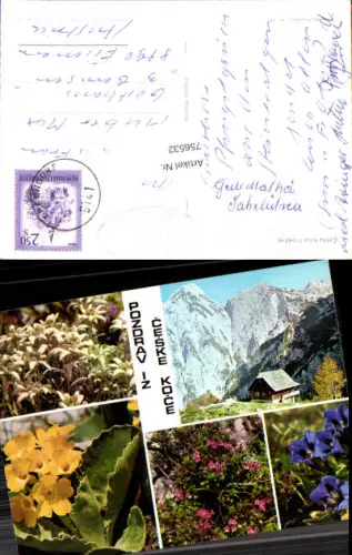 756532 Češka koča Kamnik-Savinja Alps Jezersko Slovenia