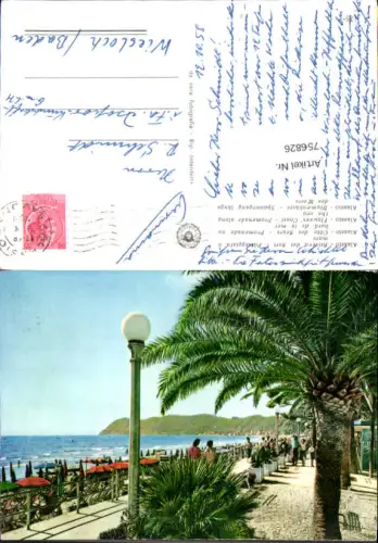 756826 Alassio Flowers' Coast Prov. Savona Italy 1958