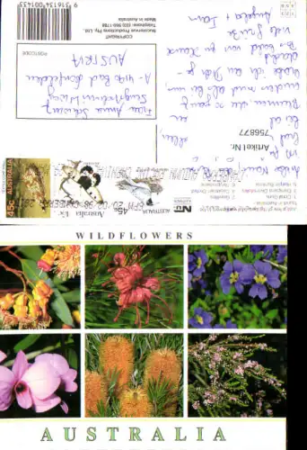756877 Canberra Wildflowers Australian Capital Territory Australia 1996