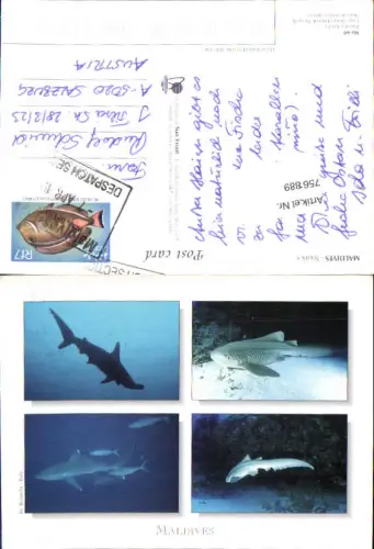 756889 Maldives Maldives Meer Asia Oceania