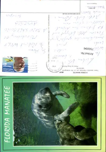 756896 Florida Manatee, Palm Beach Palm Beach County USA 1995
