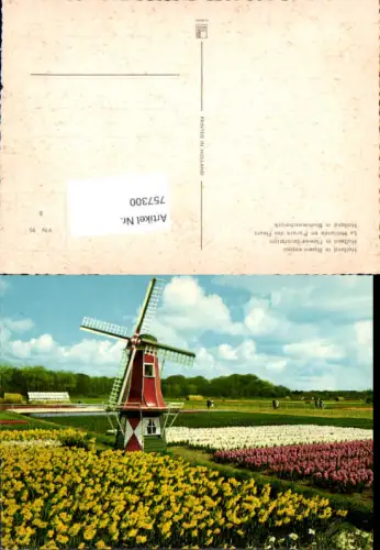 757300 Bollenstreek Prov. Zuid-Holland Netherlands Windmühle