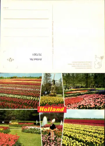 757301 Holland Blumenfelder Prov. Zuid-Holland Netherlands