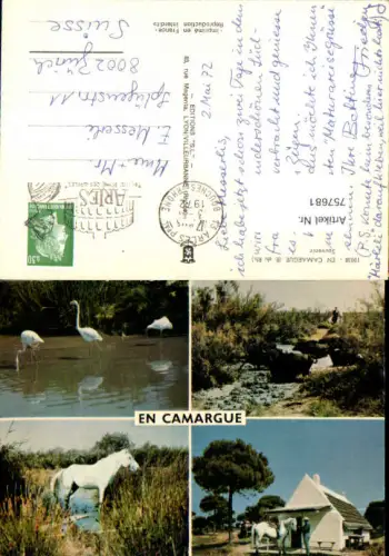 757681 Camargue Arles Dép. Bouches-du-Rhône France 1972