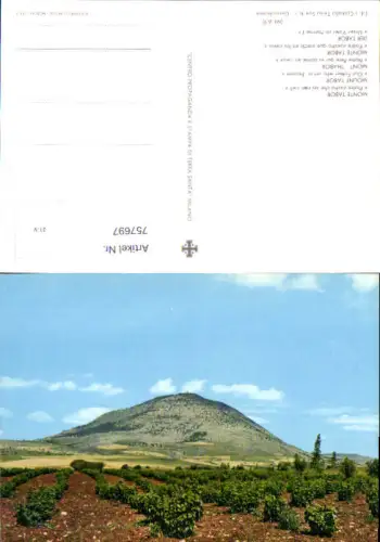 757697 Mount Tabor Northern District Israel