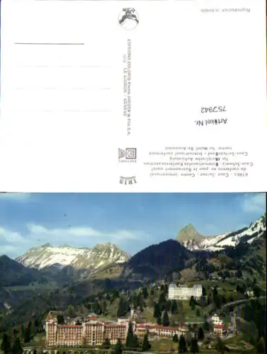 757942 Caux District Riviera-Pays-d'Enhaut Switzerland