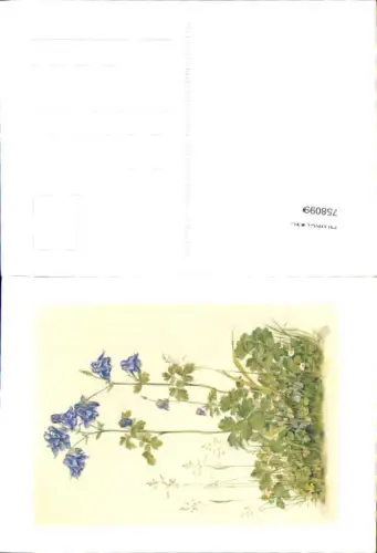 758099 Hans Lang Blumen Pro Juventute