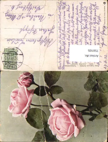 758105 Stempel Kainach n. Neuberg an der Mürz Rosen Motiv beschädigt