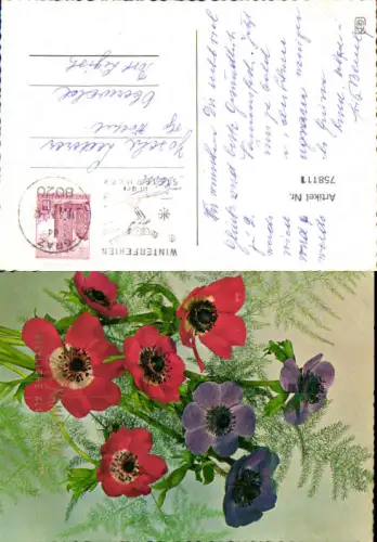 758111 Stempel Graz (Stadt) n. Oberwald Ligist Rosen Blumen