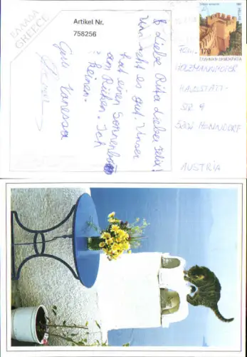 758256 Griechenland Katze Greece