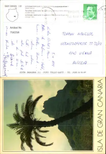 758258 Gran Canaria Province Las Palmas Spain 1981 Palme