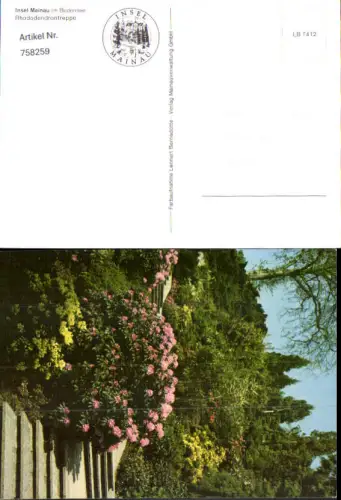 758259 Insel Mainau im Bodensee Rhododendrontreppe LK Konstanz