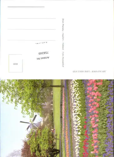 758349 Lisse Keukenhof Prov. Zuid-Holland Netherlands