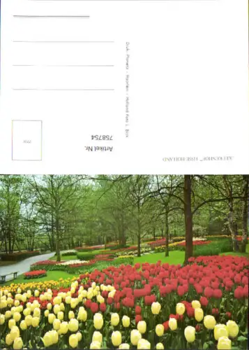 758754 Lisse Keukenhof Provincie Zuid-Holland Netherlands