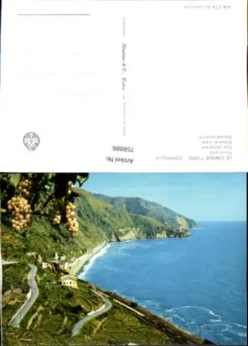 758886 Le Cinque Terre Corniglia Provinz La Spezia Italy