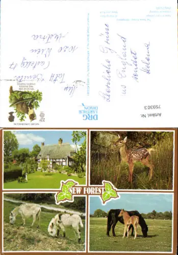 759303 New Forest Hampshire England