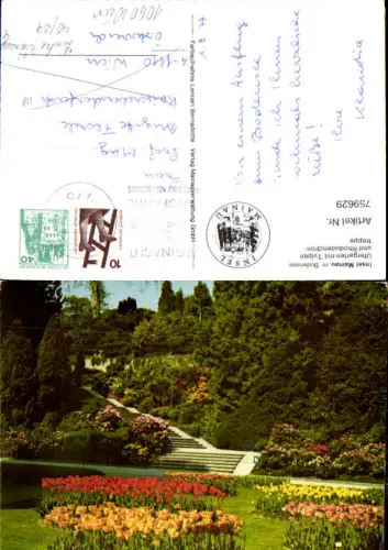 759629 Insel Mainau Ufergarten Tulpen Rhododendron-treppe LK Konstanz 1977