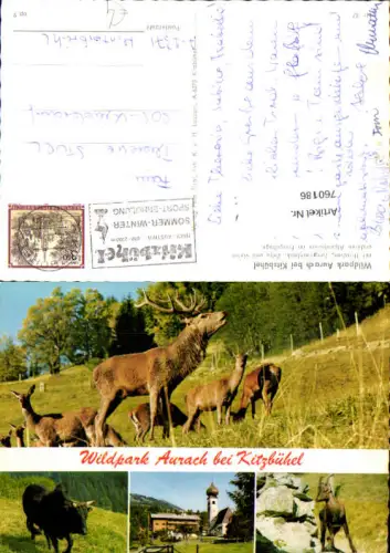 760186 Wildpark Aurach bei Kitzbühel Bez. Kitzbühel