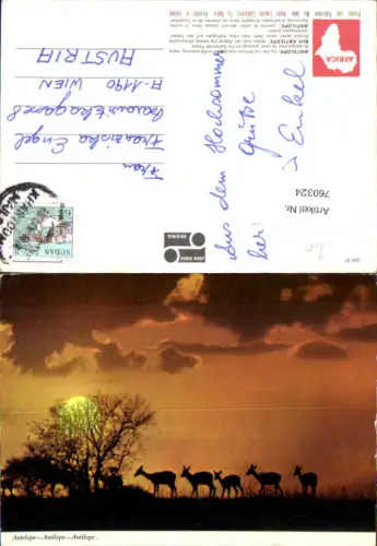 760324 Khartoum Khartoum State Sudan 1987 Antilope Africa