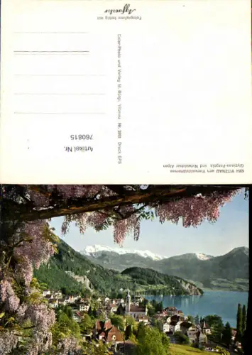 760815 Vitznau am Vierwaldstättersee Wahlkreis Luzern-Land Switzerland